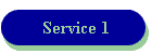 Service 1